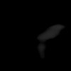 SPORK, NICO - 22.03.1976 - 02.08.2022 - CT obere Extremität - 17:59:07